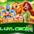 bpl live cricket Games Plus