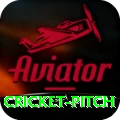 cricket pitch Master PK v5.2.8