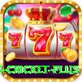 fastest ball in cricket PK Royal