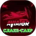 grass carp APK Gold v1.9.1
