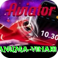 hanuma vihari Gold Slots