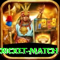india pakistan cricket match Gaming King v2.0.8