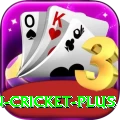 india pakistan cricket Master PK v2.5.1