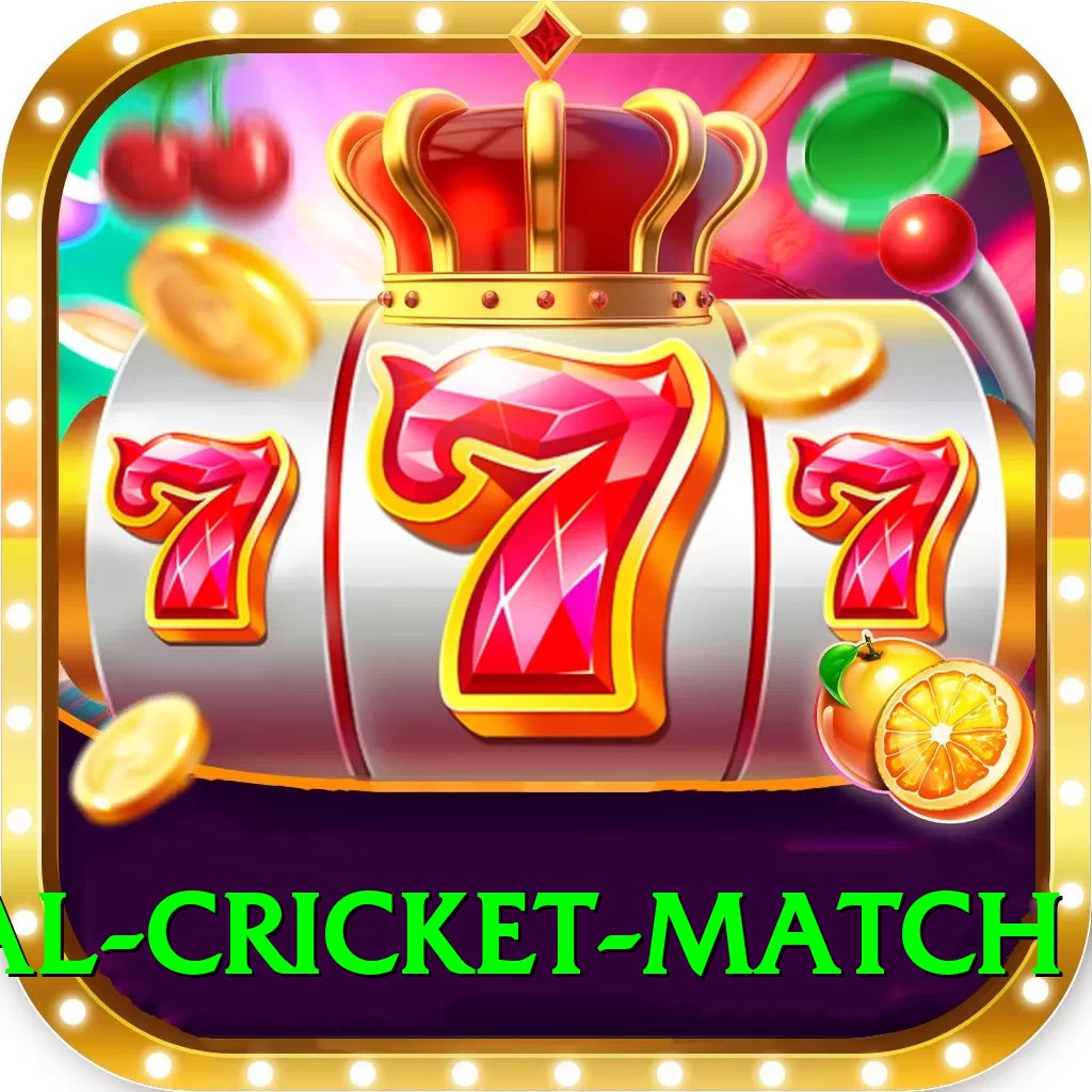 international cricket match Casino Official v1.3.4 - 2