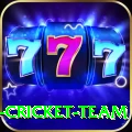 ireland cricket team Extreme PK v4.5.4