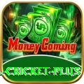 most runs in international cricket Live Casino Gold