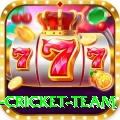 netherlands cricket team Turbo Latest v2.7.1