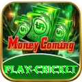 play cricket - Live Plus