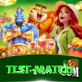 test match Elite v5.9.2