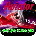 the signature at mgm grand Mega Gaming App