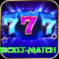 to day cricket match VIP APK v1.5.9