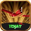 tojay Apps (Tools & Injectors) Pro v3.4.2