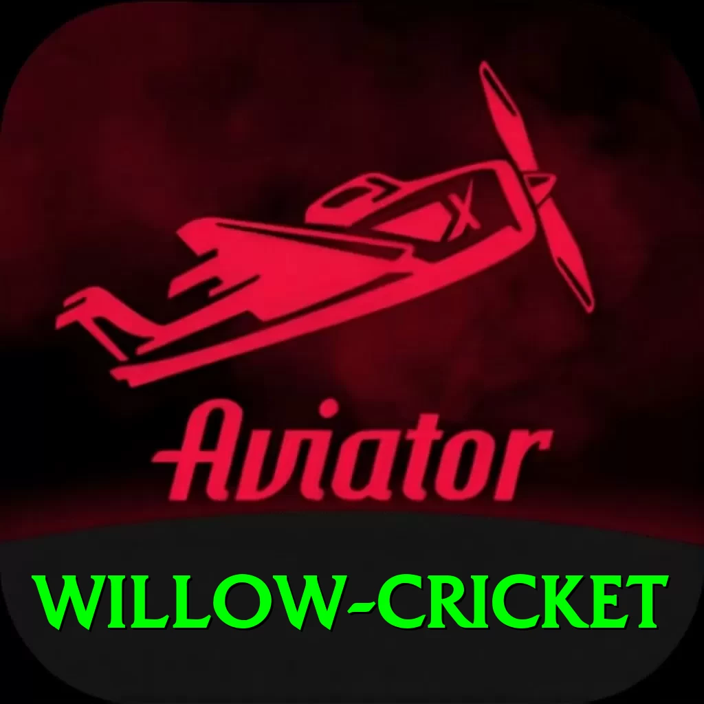 willow cricket - VIP Plus - 2