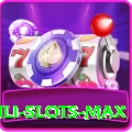 Winli Slots - Slots VIP